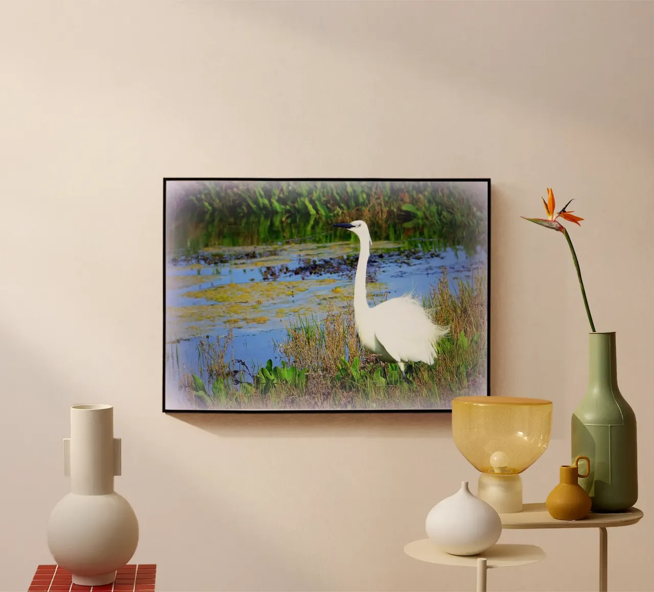 FAA71 plexiglass da Thierry vobmann photography