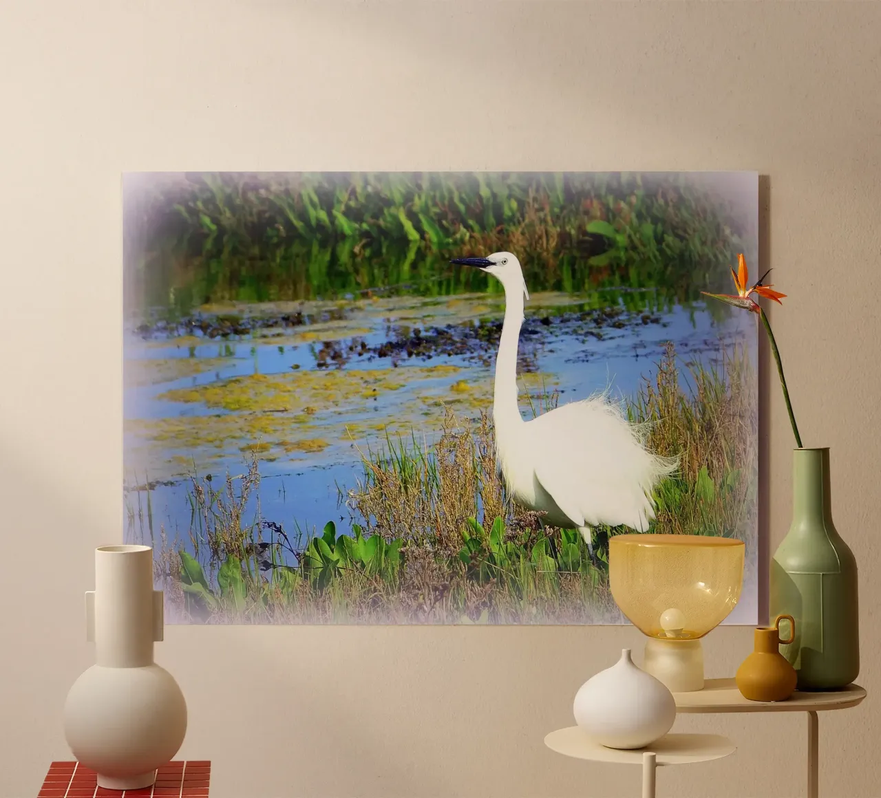 FAA71 plexiglass da Thierry vobmann photography