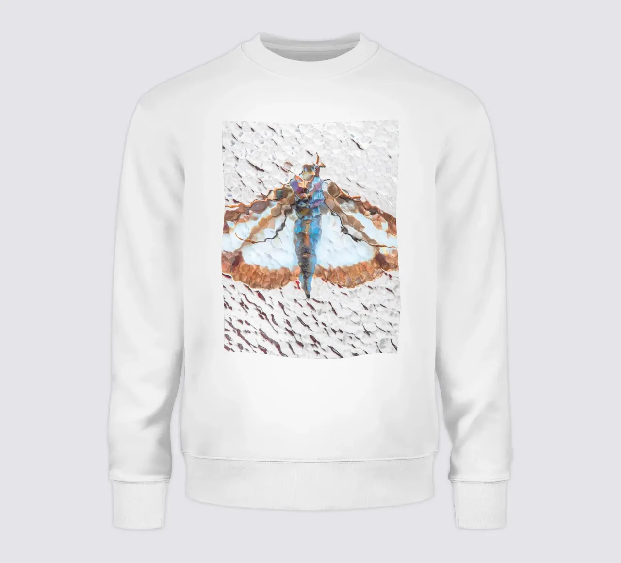 Falena felpa da Dave Hare Photography