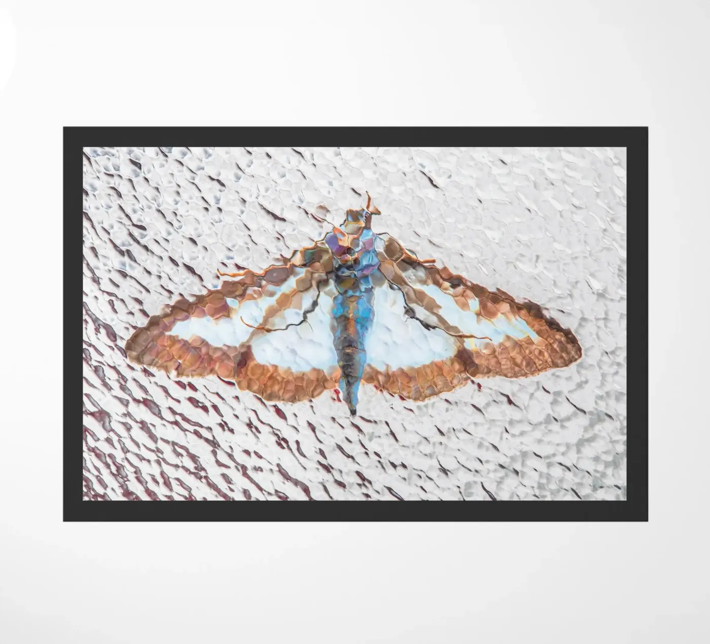 Moth doormat by Dave Hare Photography