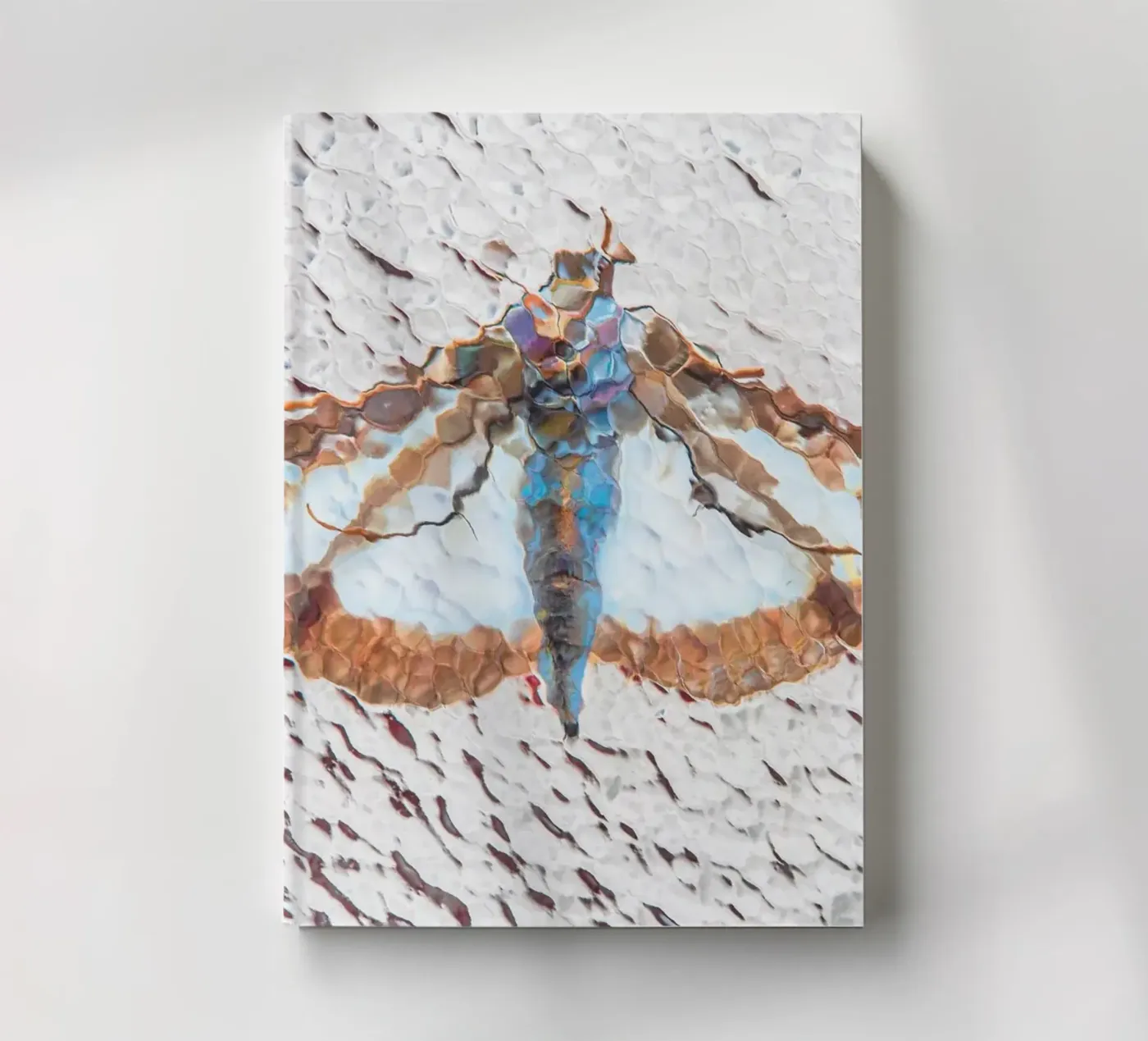 Moth notebook by Dave Hare Photography