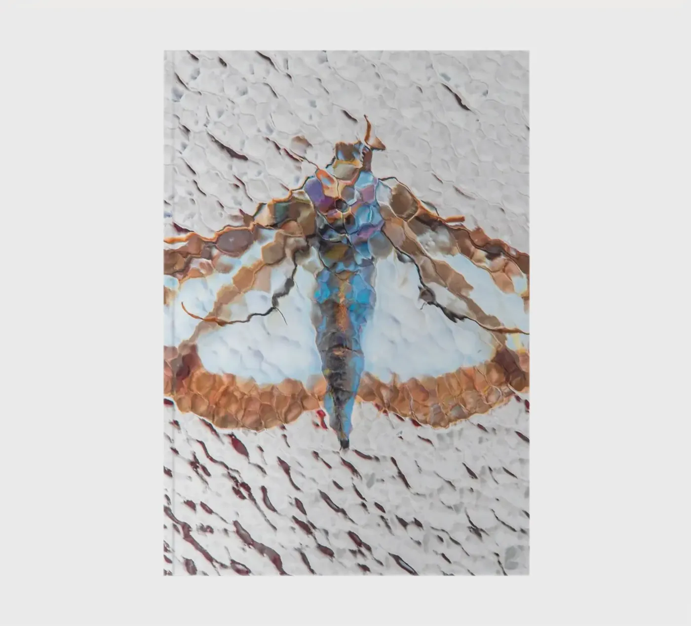 Moth notebook by Dave Hare Photography