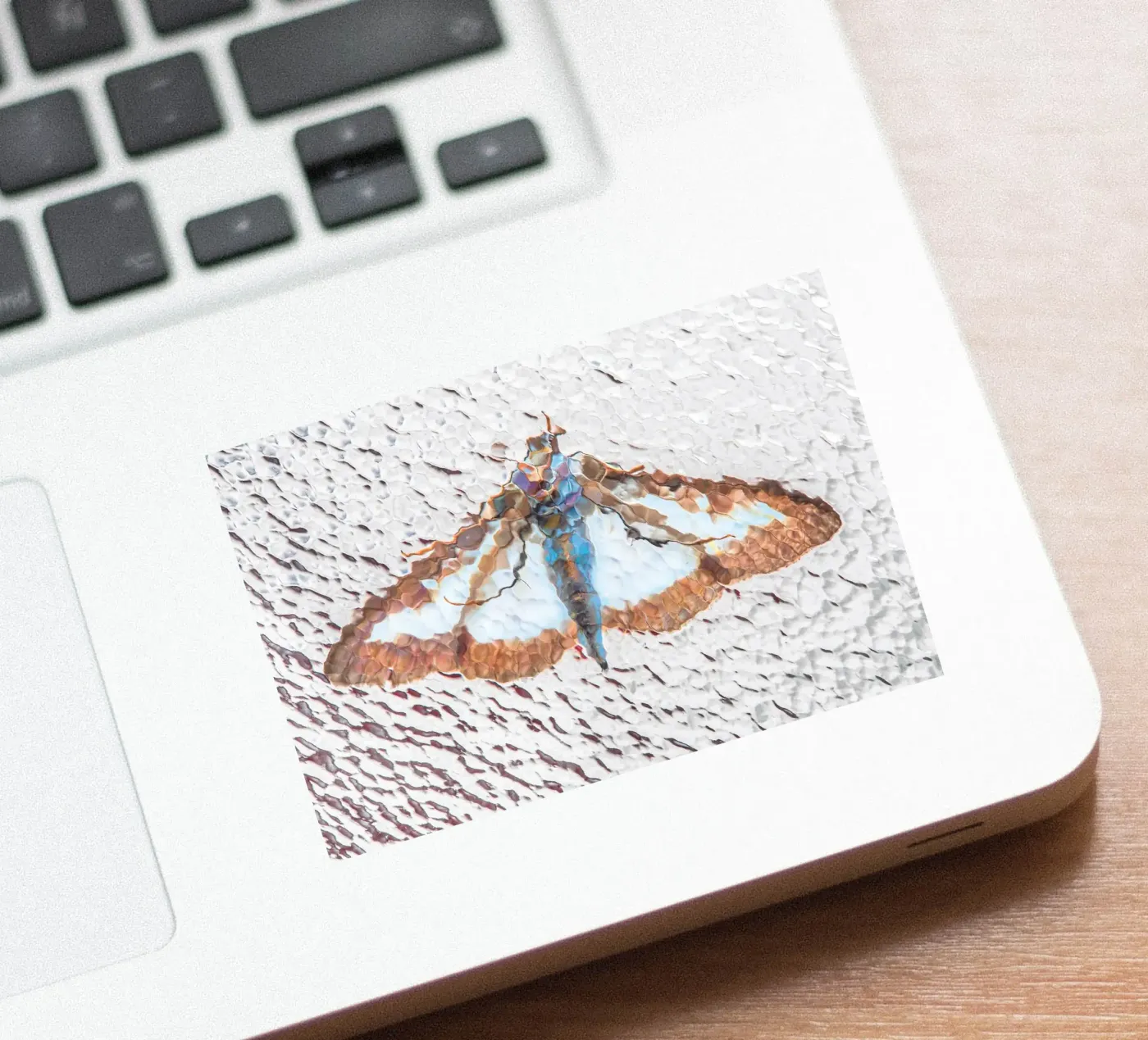 Moth sticker by Dave Hare Photography