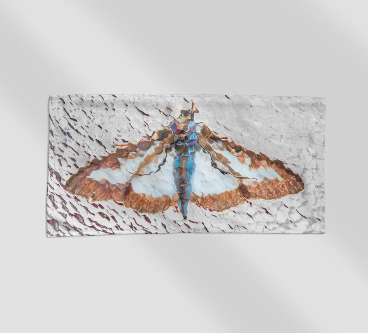 Moth telo mare da Dave Hare Photography