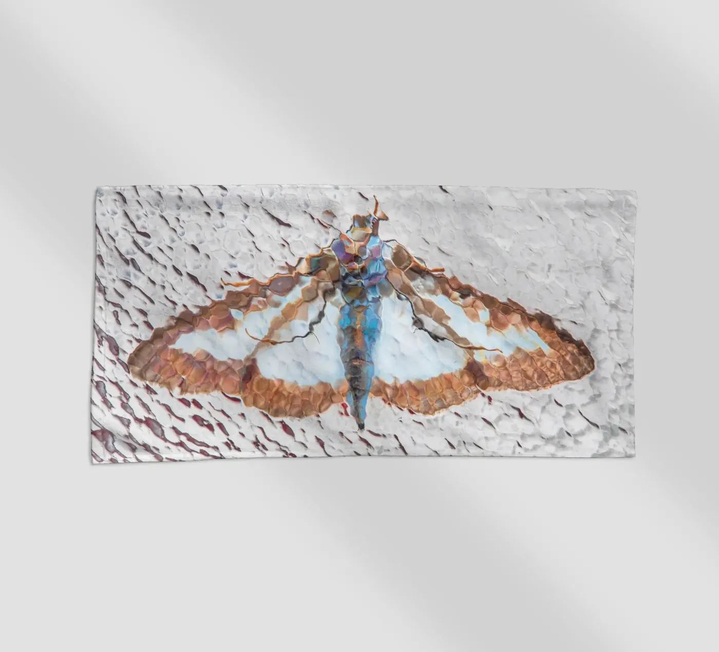 Falena telo mare da Dave Hare Photography