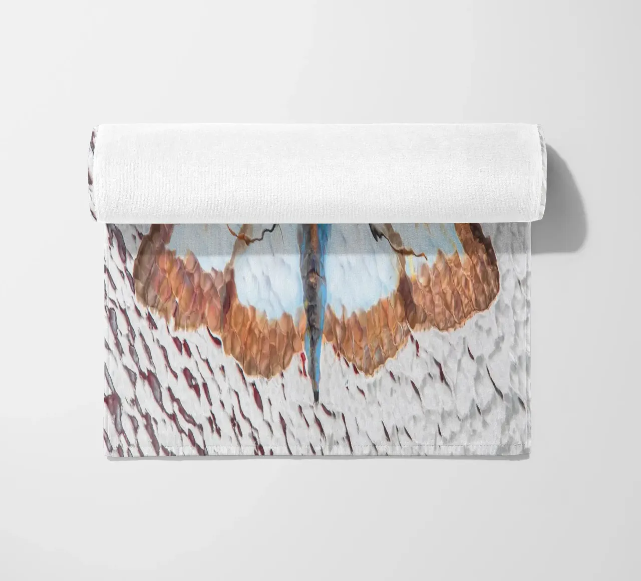 Moth telo mare da Dave Hare Photography