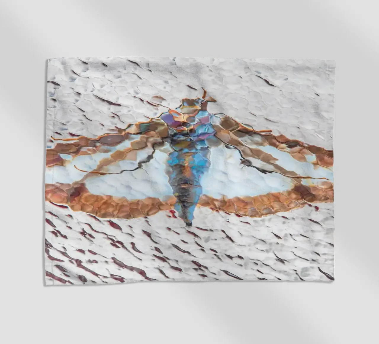 Moth telo mare da Dave Hare Photography