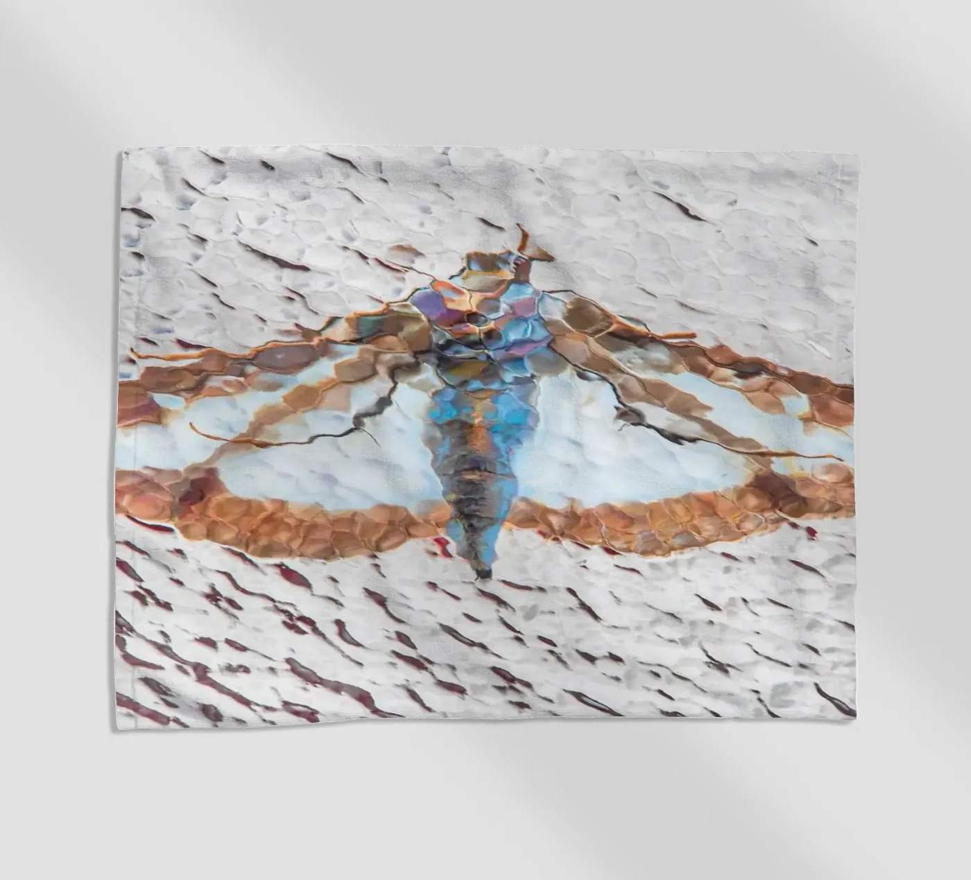 Falena telo mare da Dave Hare Photography