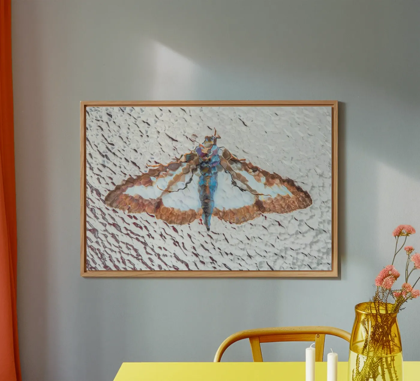 Moth forex plate by Dave Hare Photography