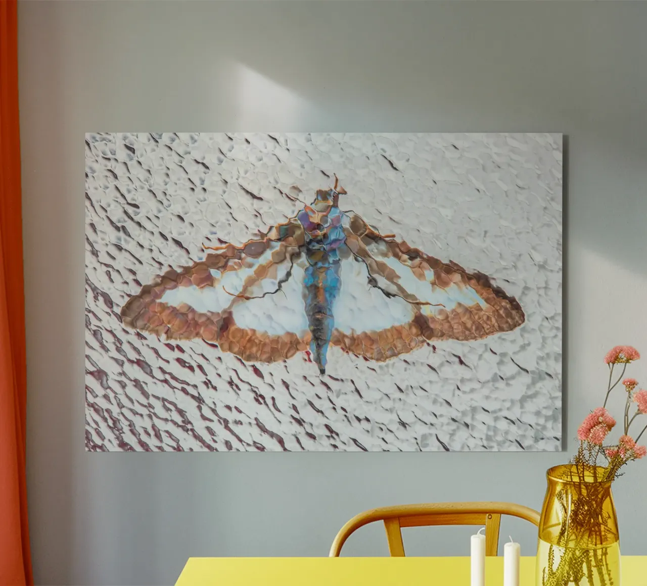 Moth forex plate by Dave Hare Photography