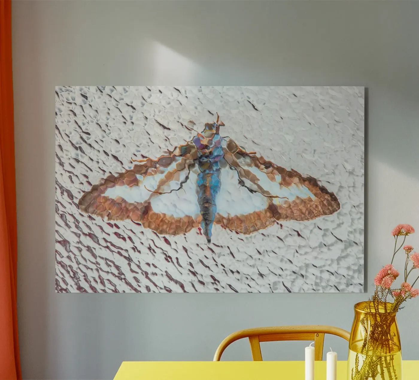 Moth forex plate by Dave Hare Photography