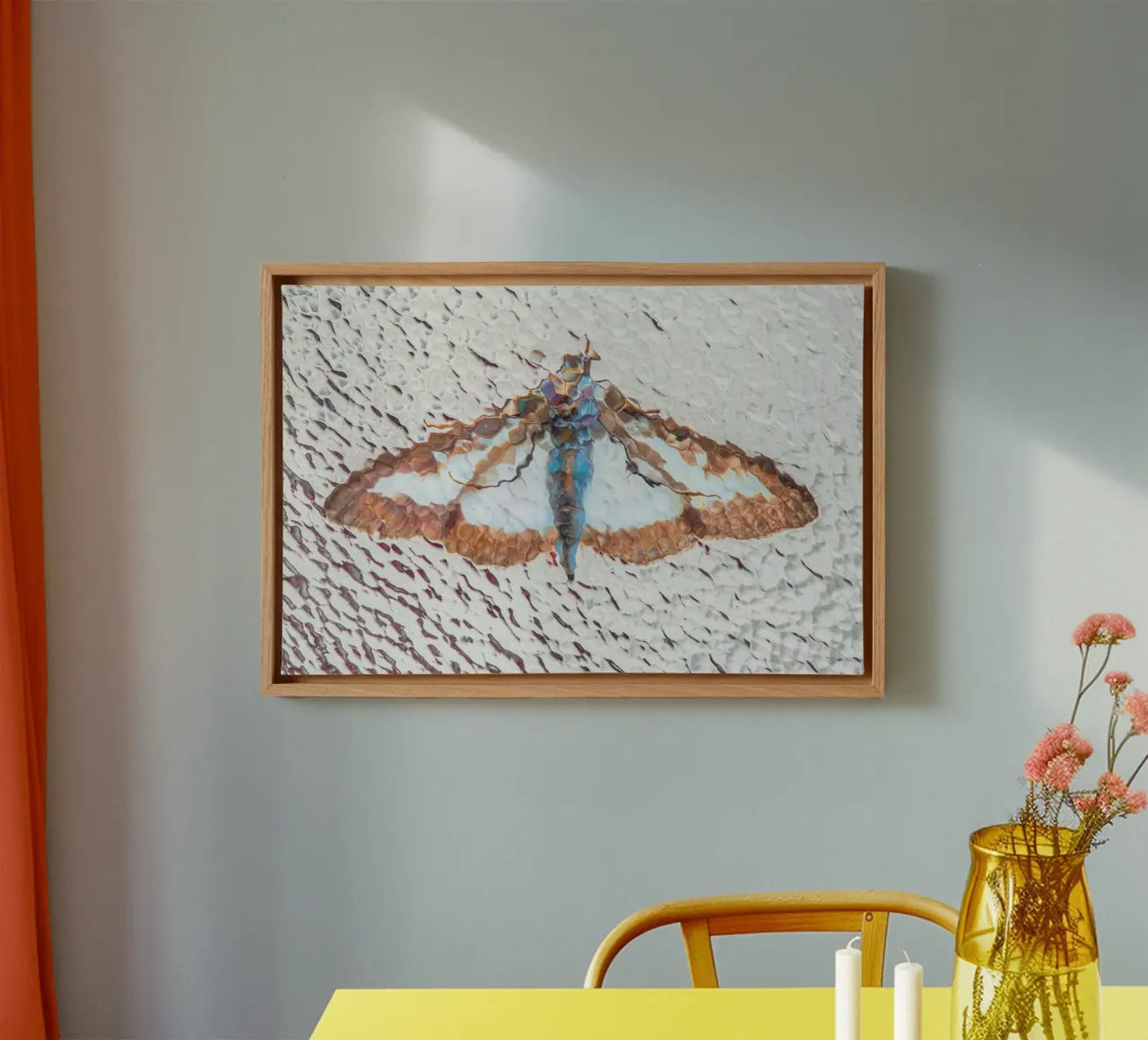 Moth tela da Dave Hare Photography