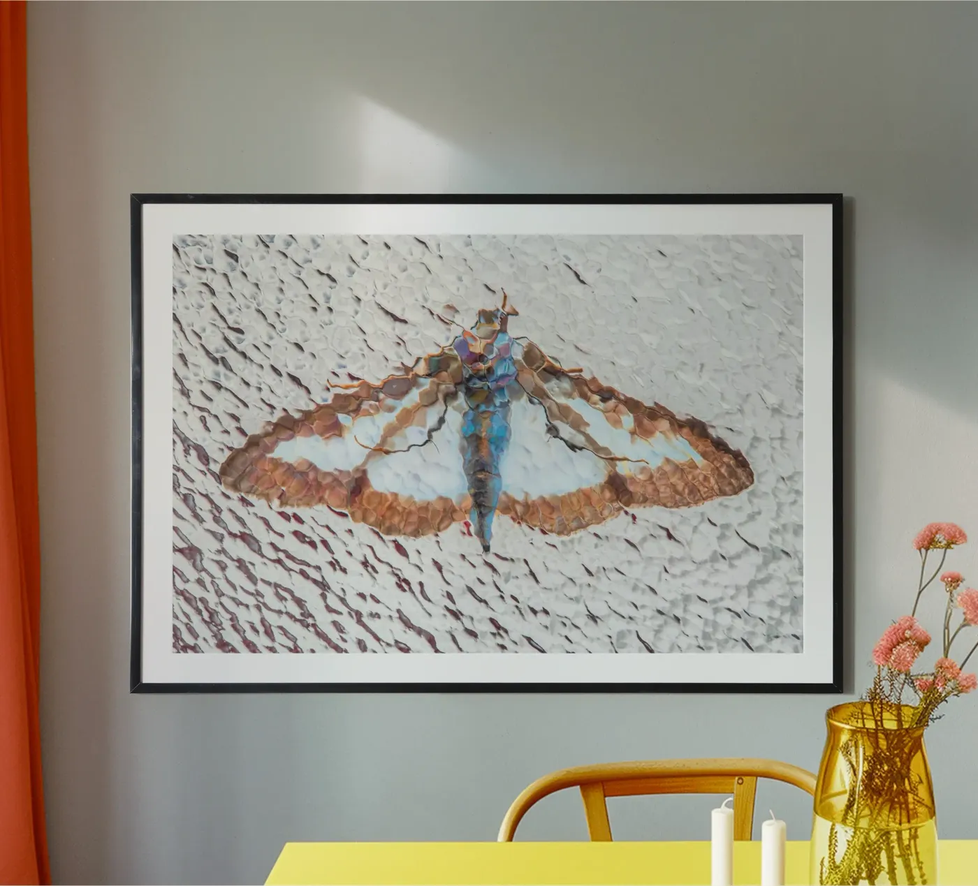 Moth poster by Dave Hare Photography