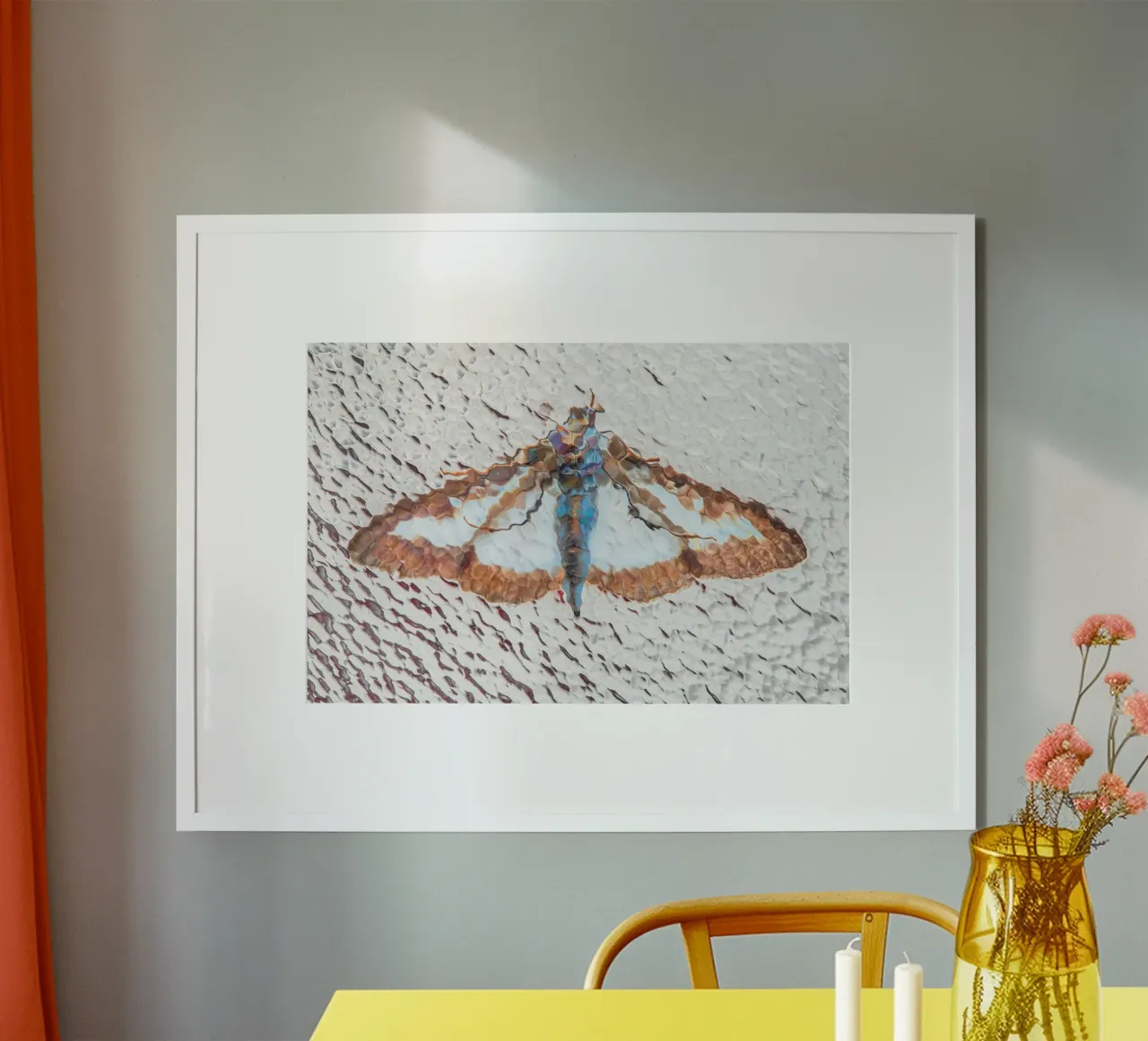 Moth poster by Dave Hare Photography