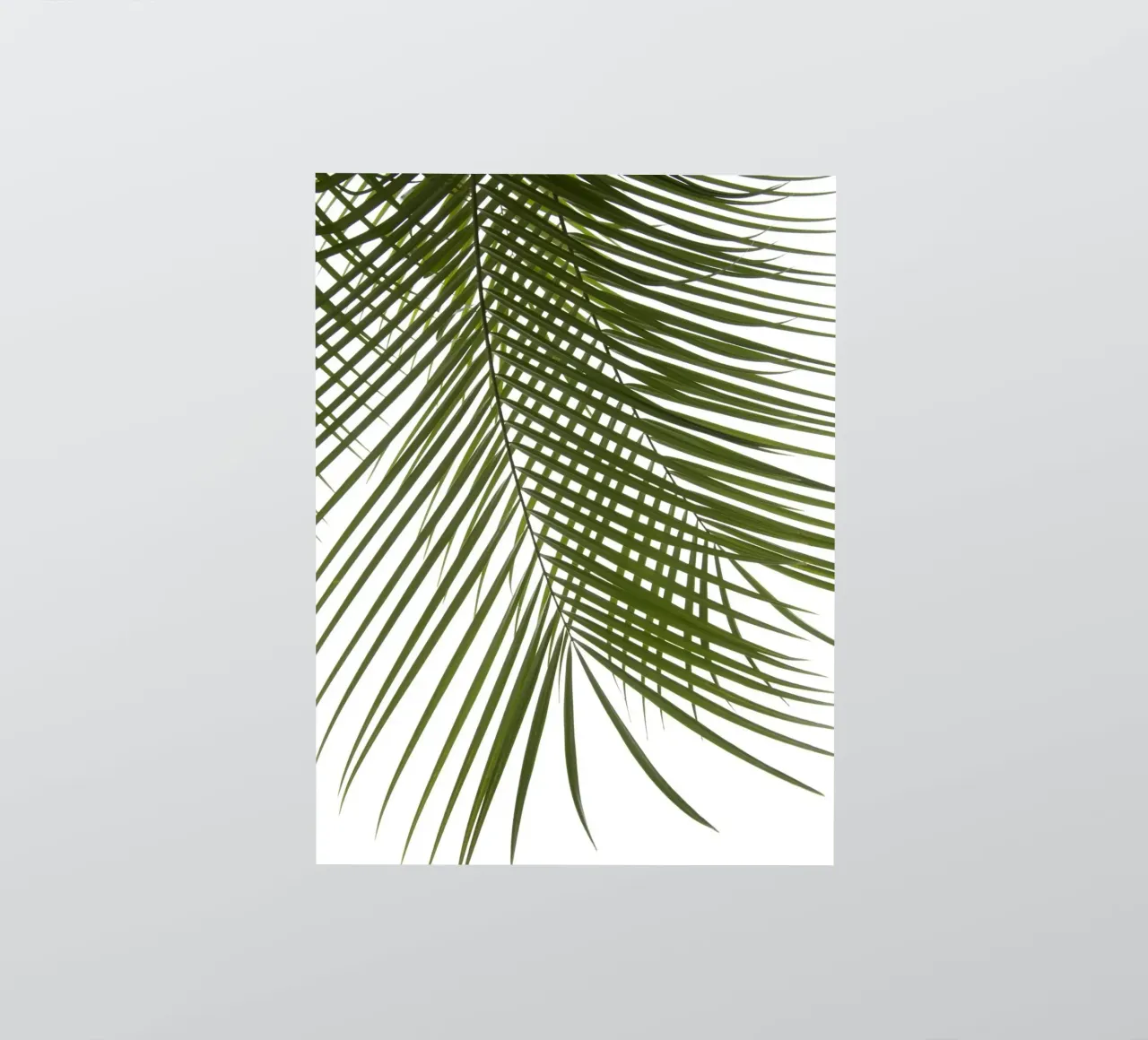 Palm Foliage I sticker by amini54