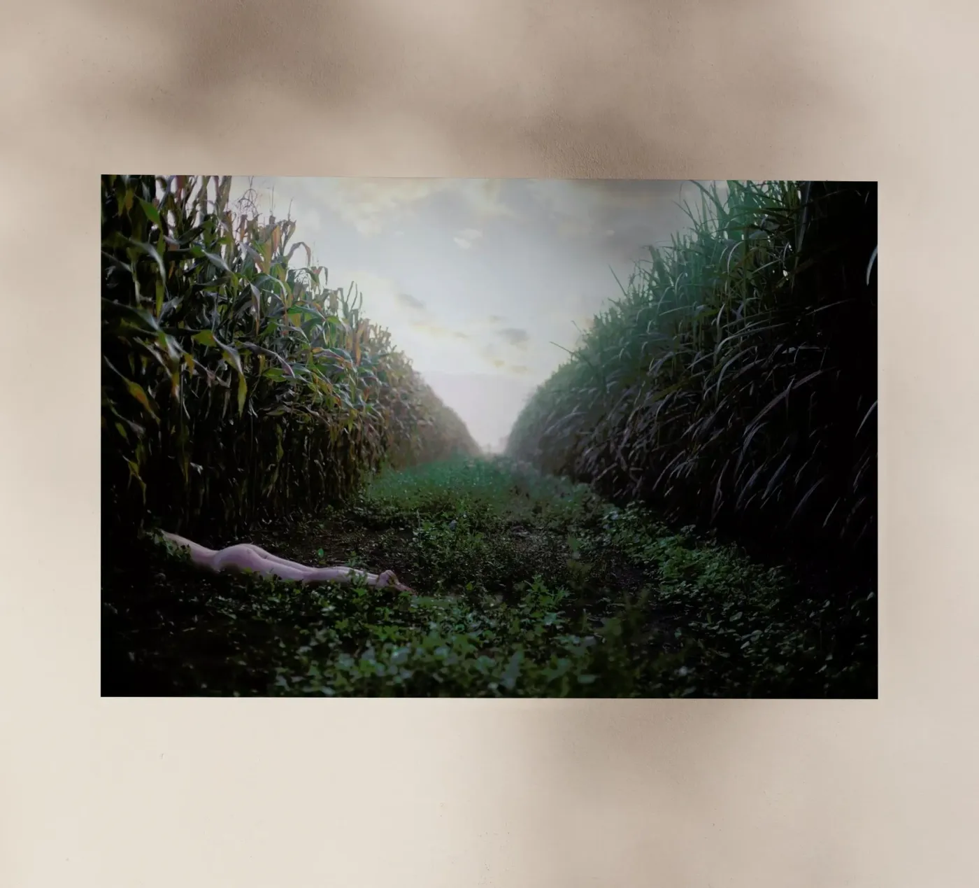 Self pellicola backlit da Ana Topoleanu