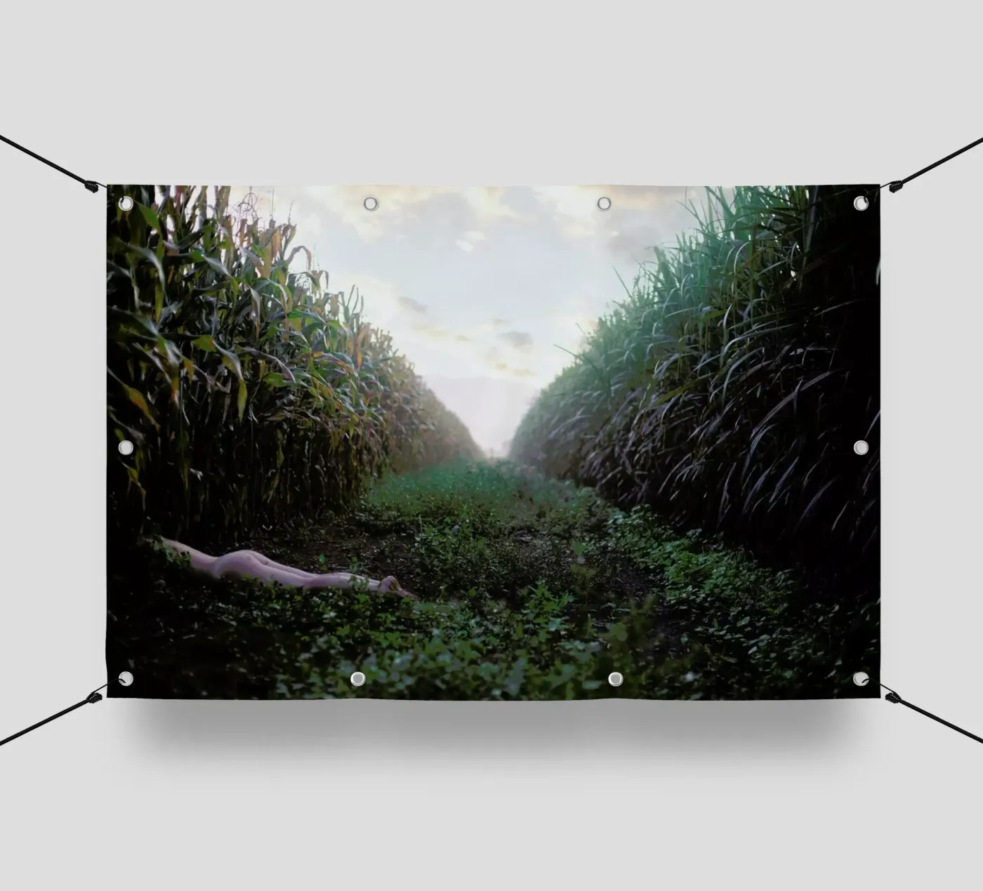 Self PVC Plane von Ana Topoleanu