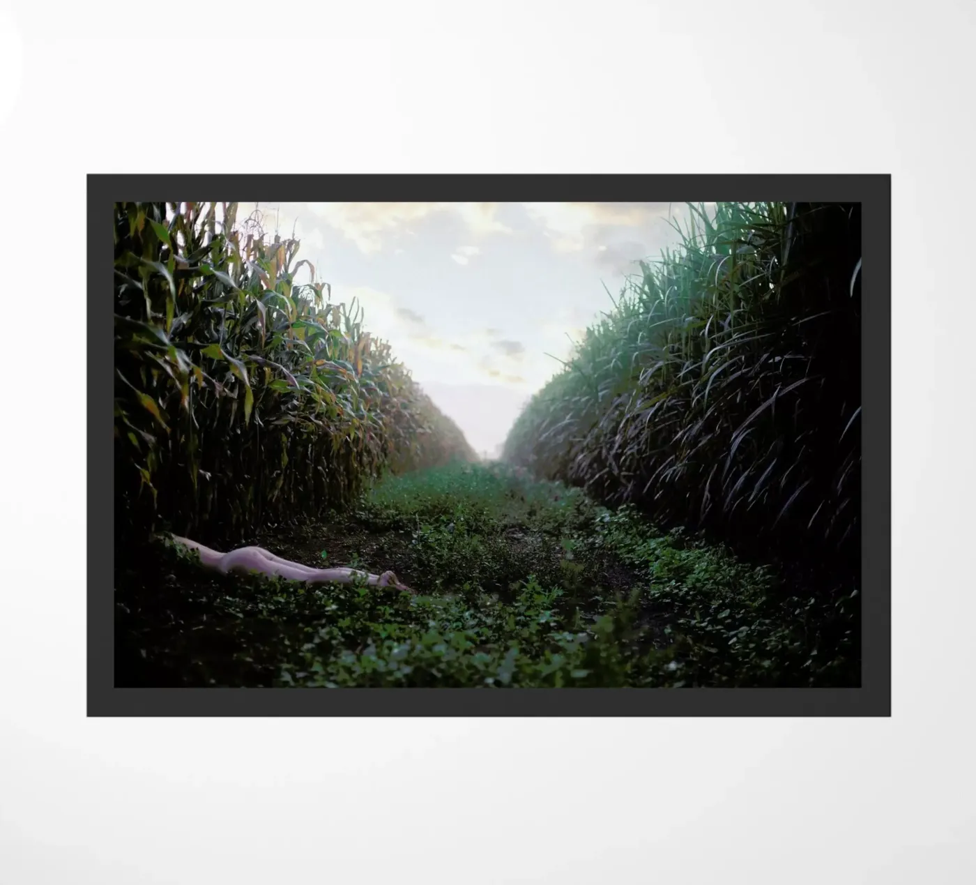 Self deurmat van Ana Topoleanu