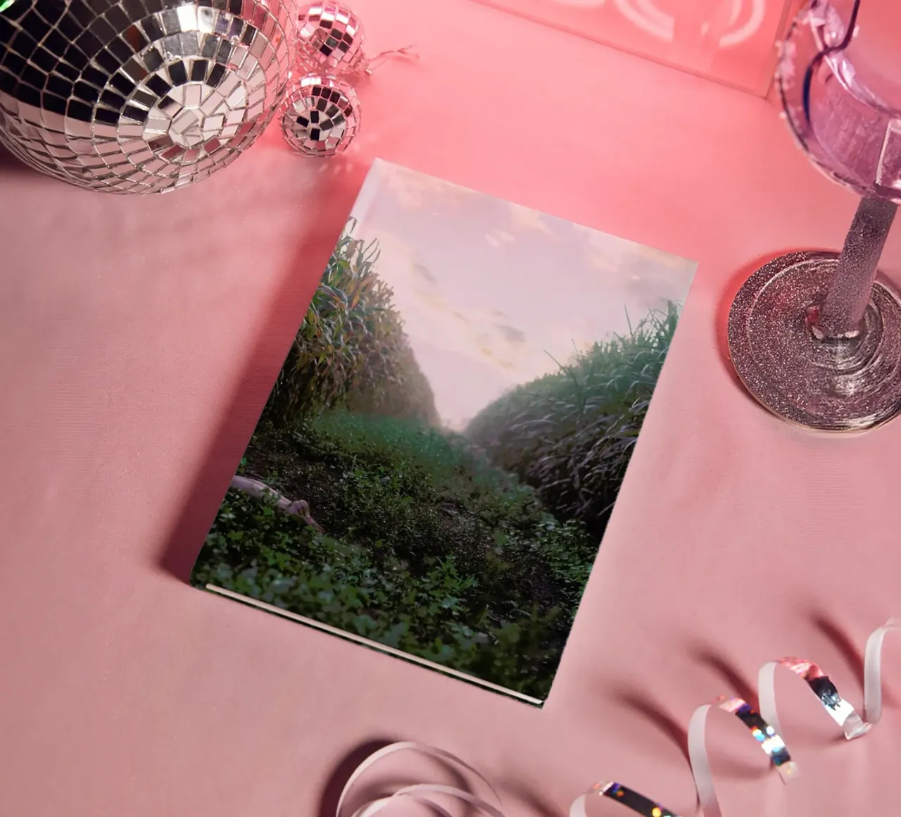 Self diario da Ana Topoleanu