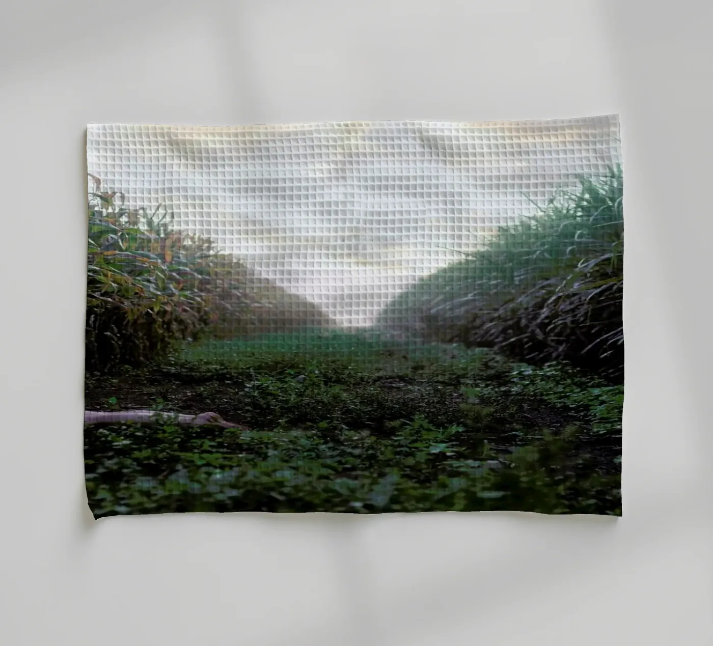 Self torchon de Ana Topoleanu