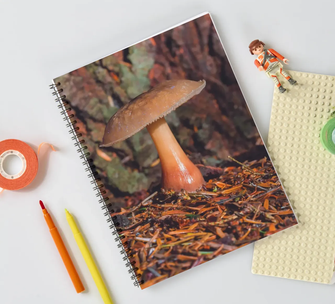 Bospaddenstoel notitieboek met spiraal van Dave Hare Photography