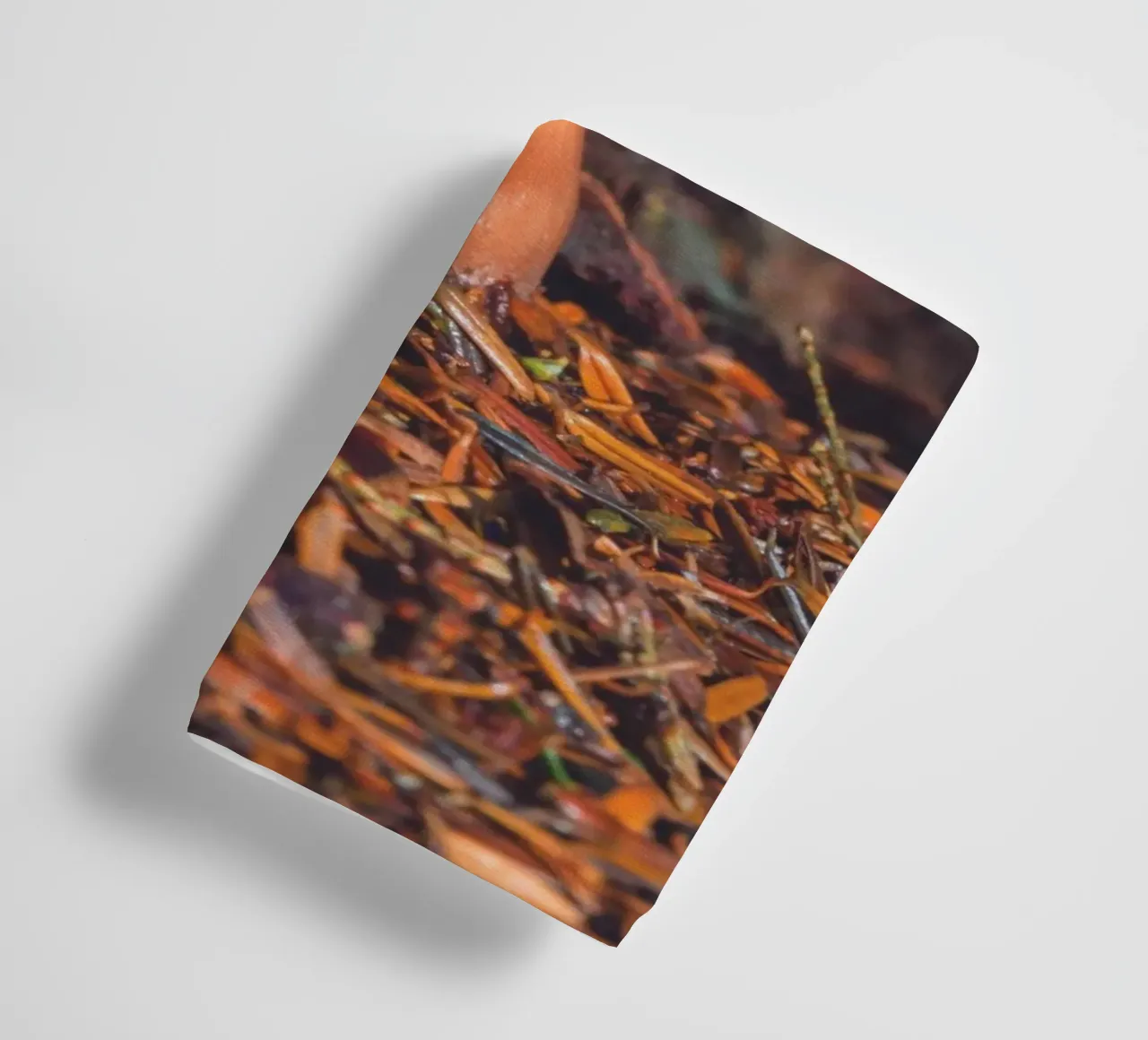 Fungo di bosco asciugamano da bagno da Dave Hare Photography