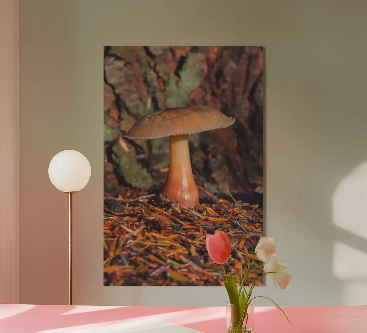 Fungo di bosco plexiglass da Dave Hare Photography