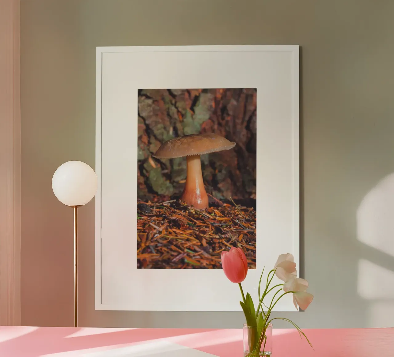 Fungo di bosco carta hahnemühle da Dave Hare Photography