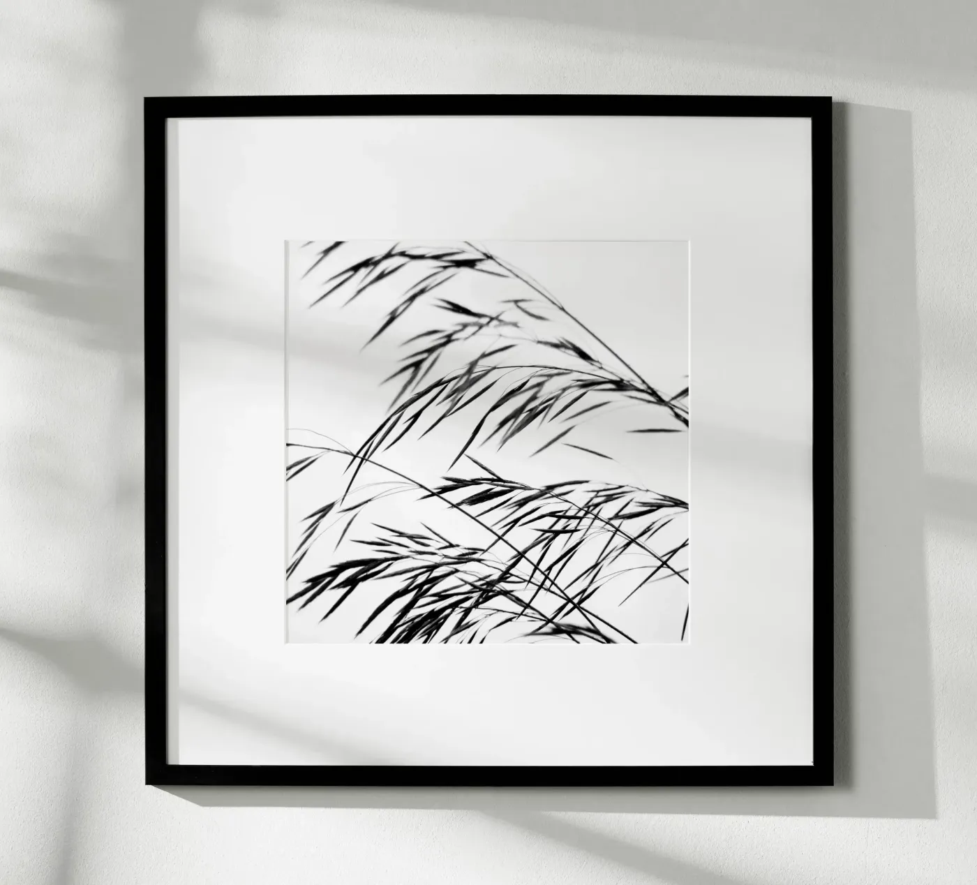 Filigrane 07 poster da Fotolia - fine art photography