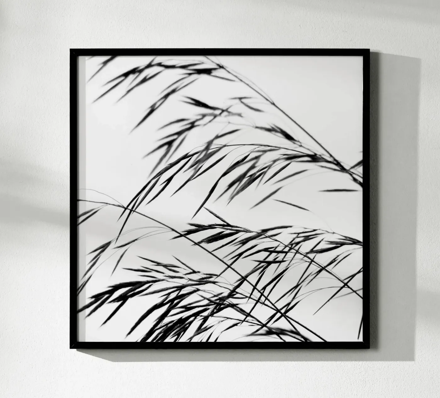 Filigrane 07 poster da Fotolia - fine art photography