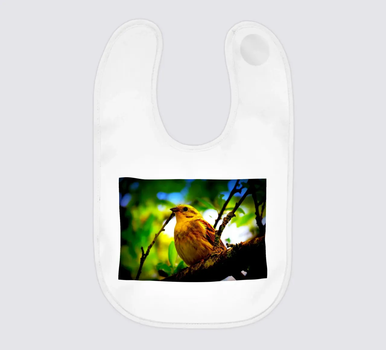 FAA72 bavaglino da Thierry vobmann photography