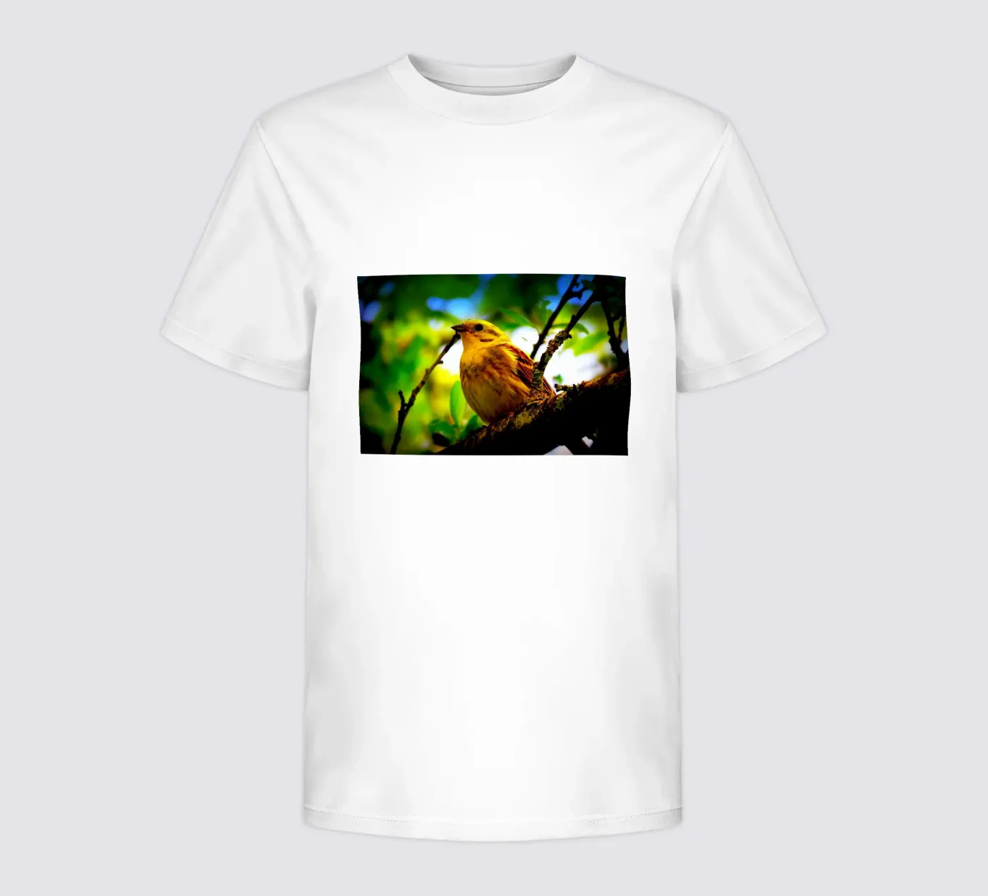 FAA72 t-shirt bambini da Thierry vobmann photography