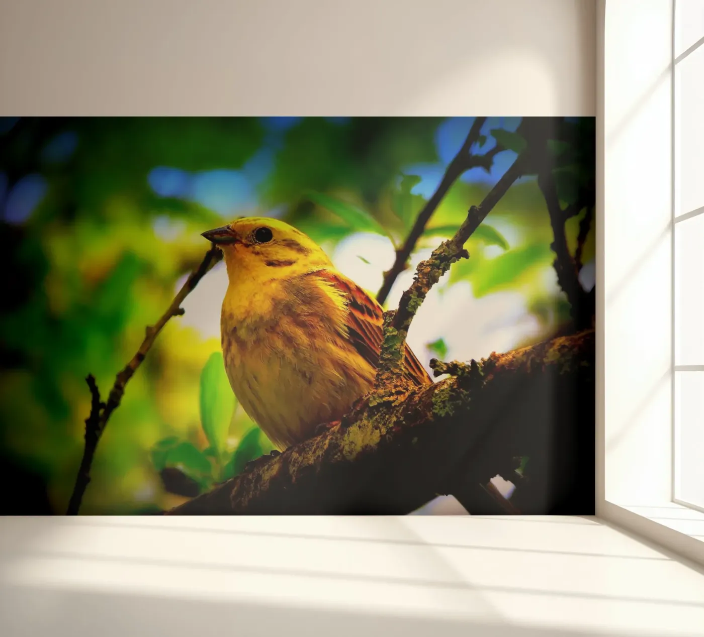 FAA72 fotobehang van Thierry vobmann photography
