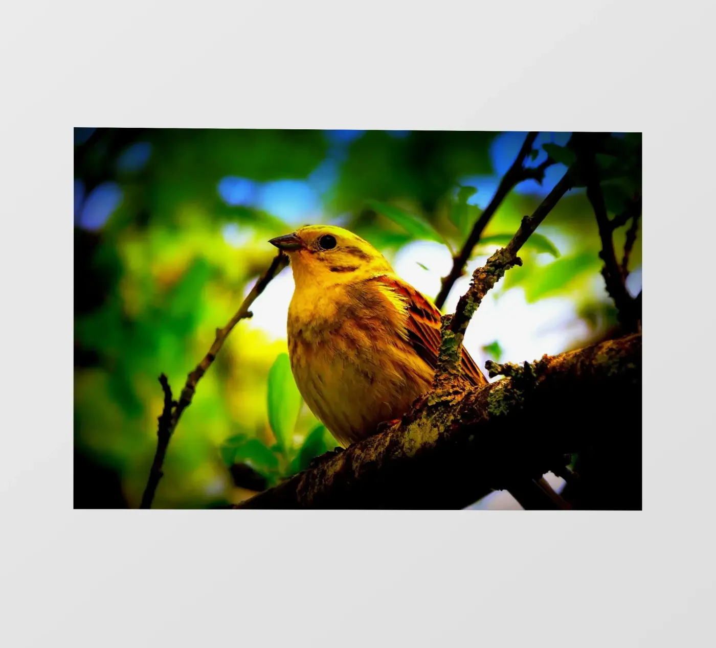 FAA72 fotobehang van Thierry vobmann photography