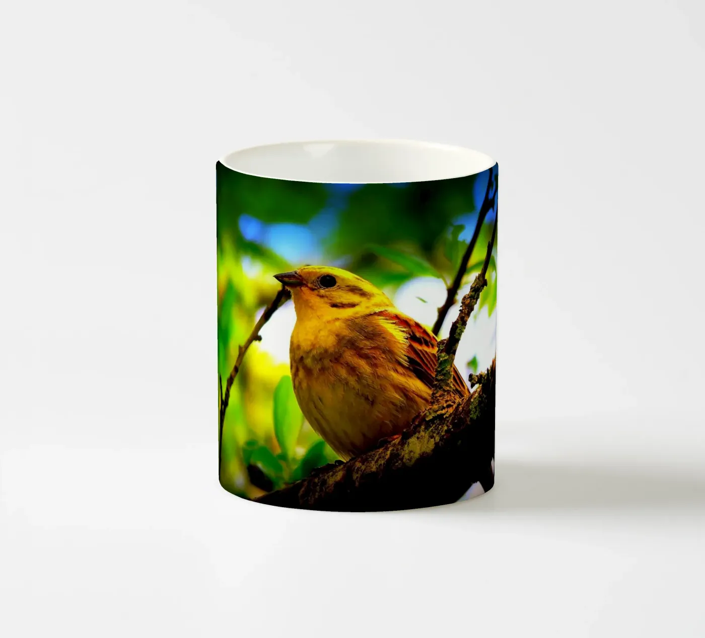 FAA72 ceramic mug by Thierry vobmann photography