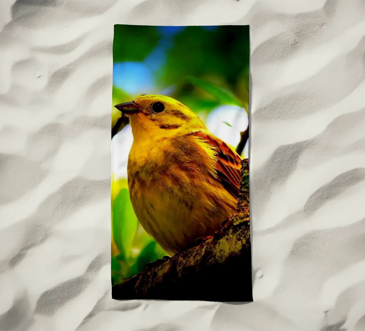 FAA72 telo mare da Thierry vobmann photography