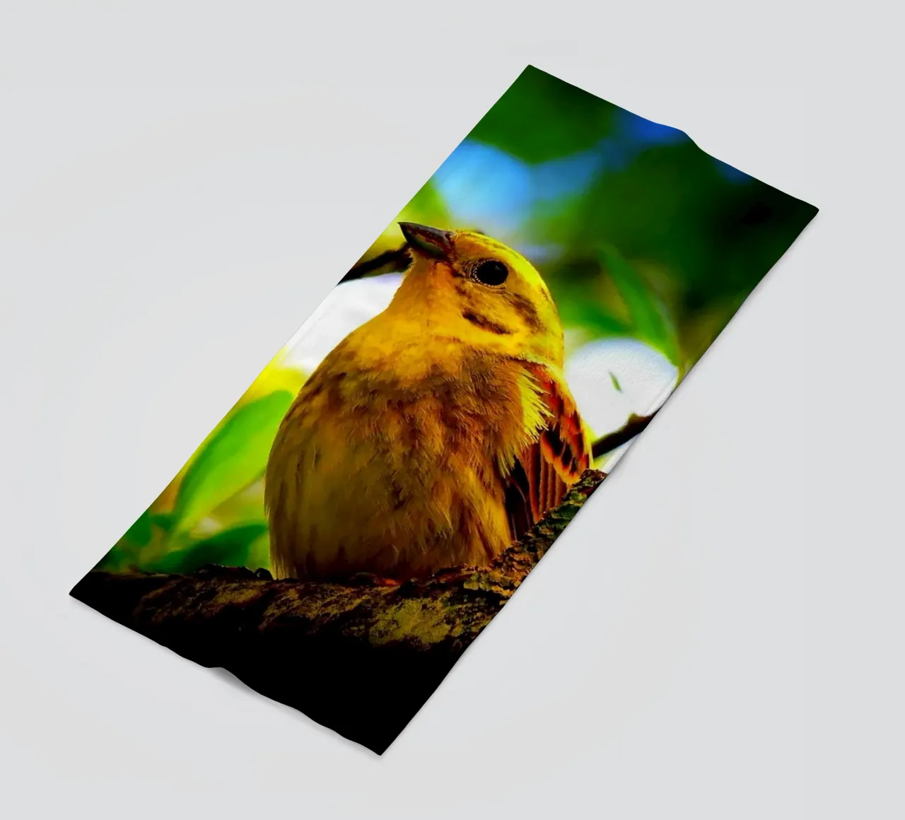 FAA72 telo mare da Thierry vobmann photography