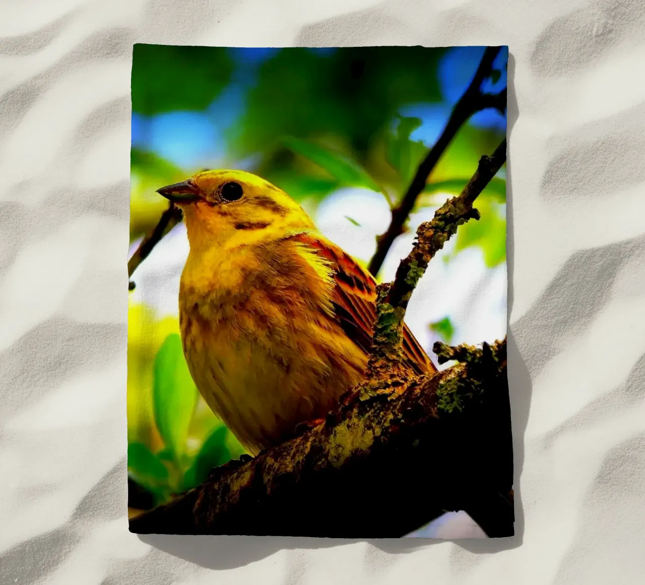 FAA72 telo mare da Thierry vobmann photography