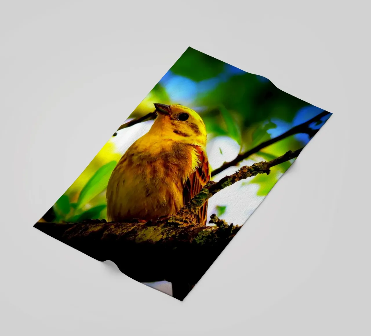 FAA72 telo mare da Thierry vobmann photography