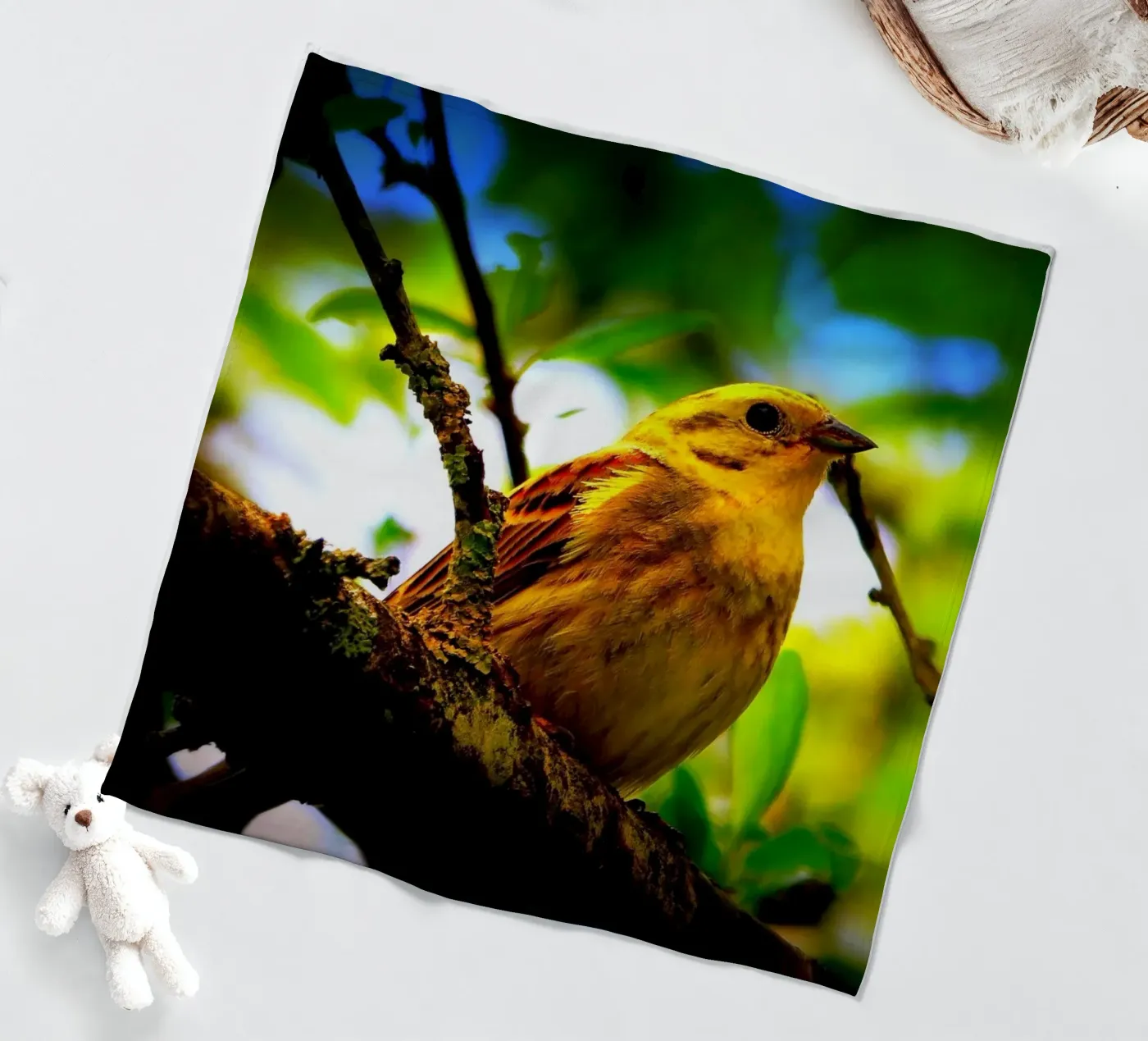 FAA72 fleecedeken van Thierry vobmann photography