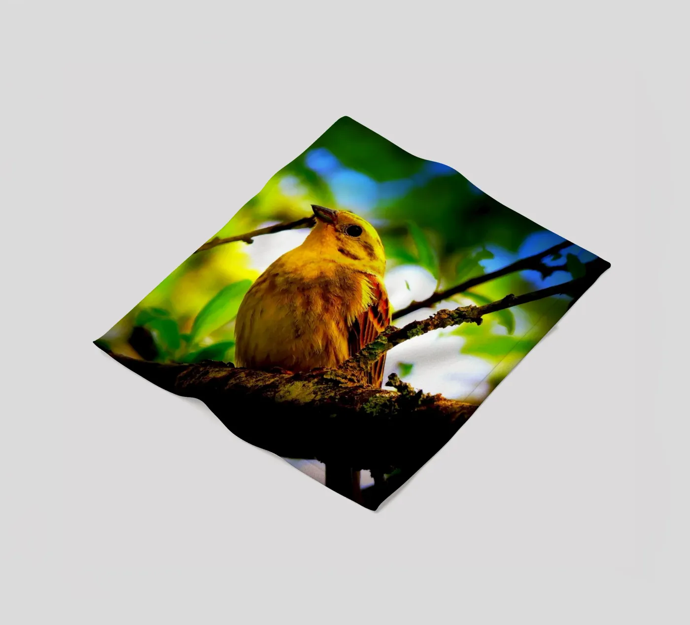 FAA72 fleecedeken van Thierry vobmann photography