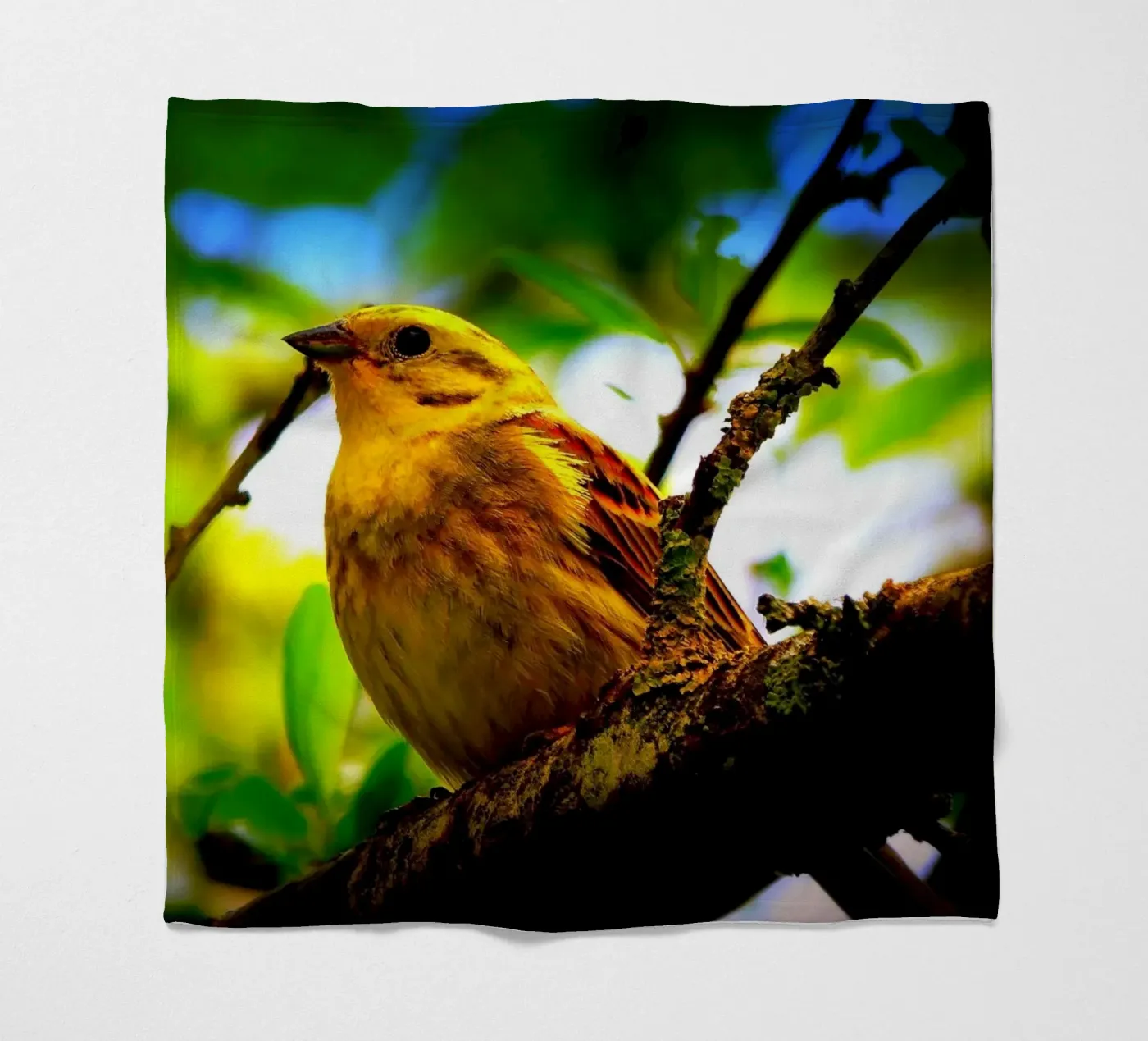 FAA72 fleecedeken van Thierry vobmann photography