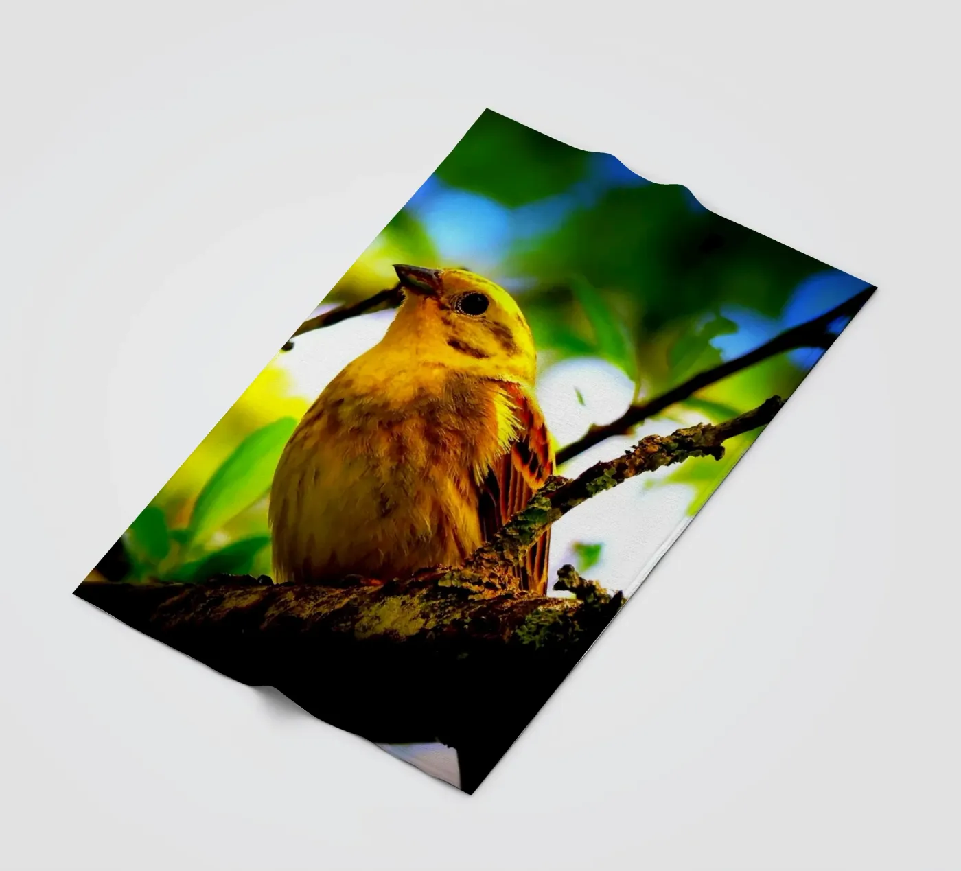 FAA72 fleecedeken van Thierry vobmann photography