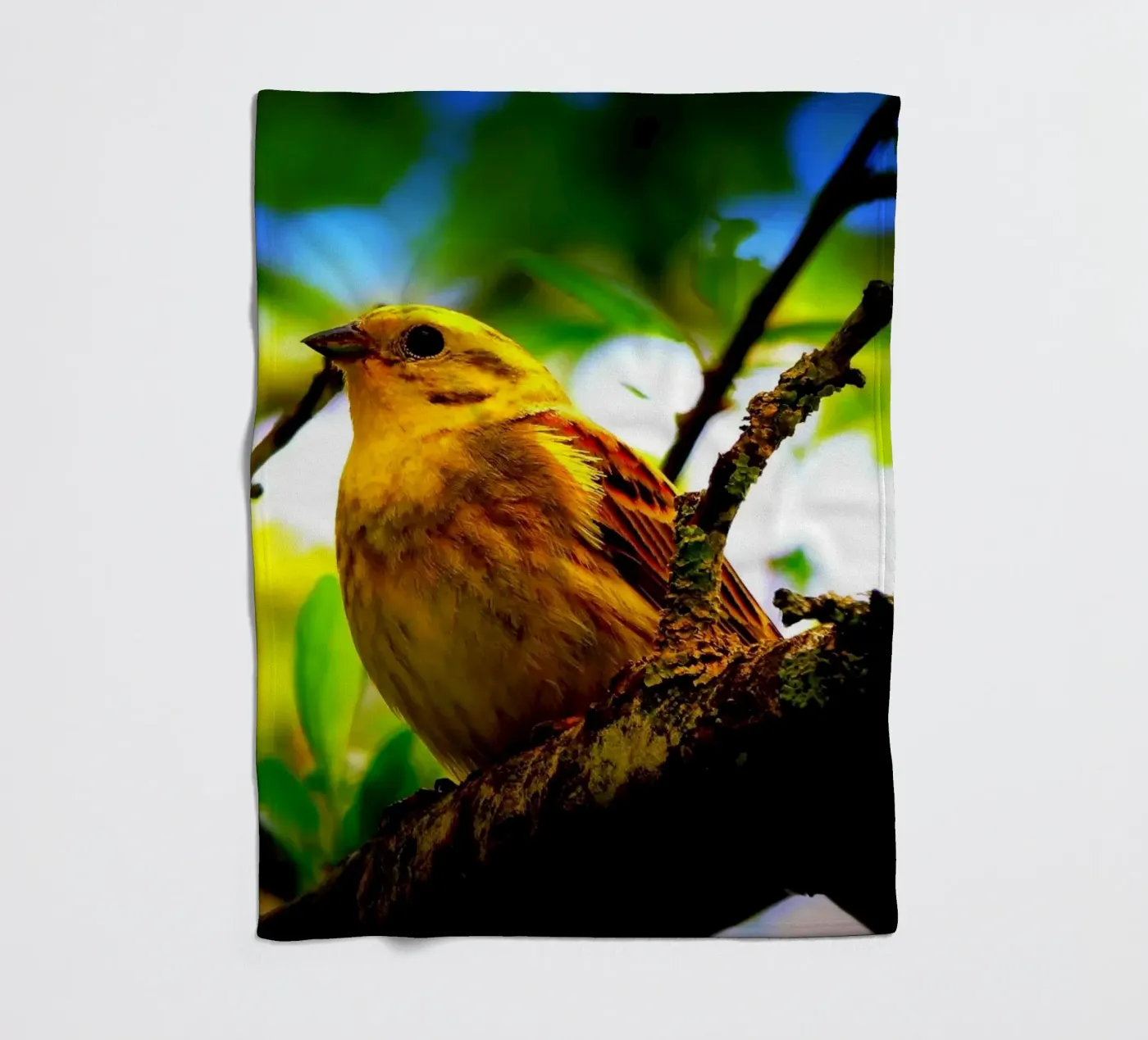 FAA72 fleecedeken van Thierry vobmann photography