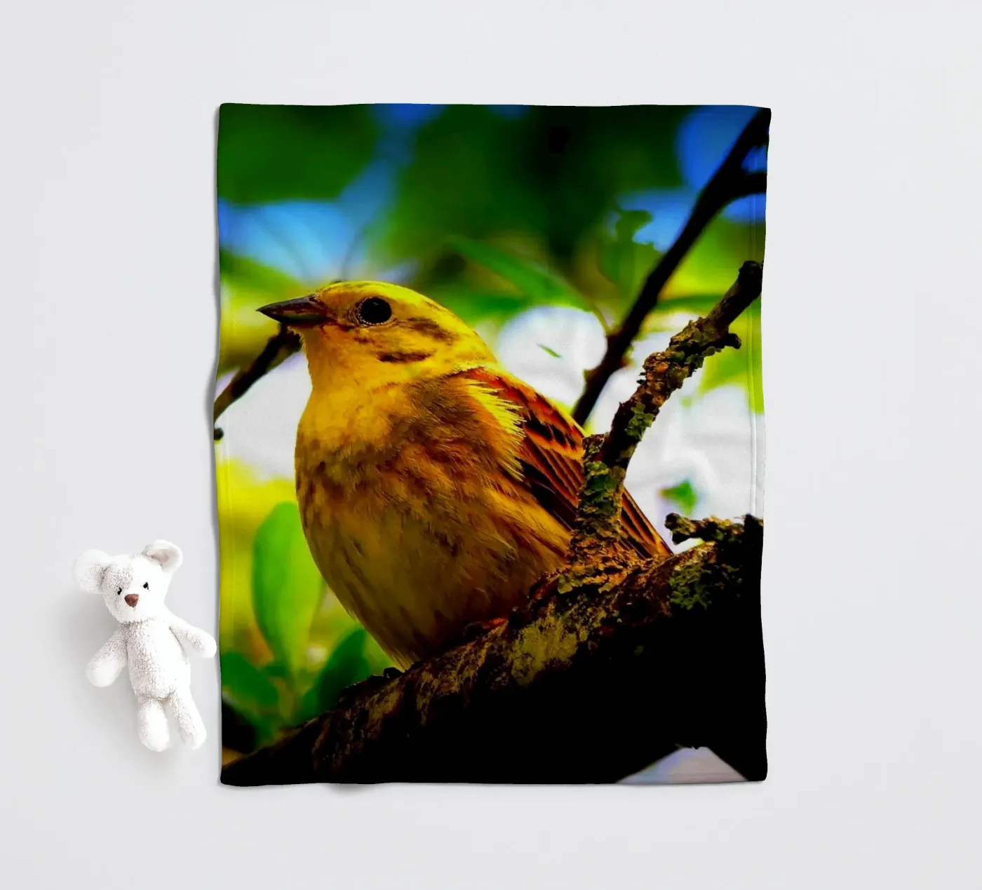 FAA72 fleecedeken van Thierry vobmann photography