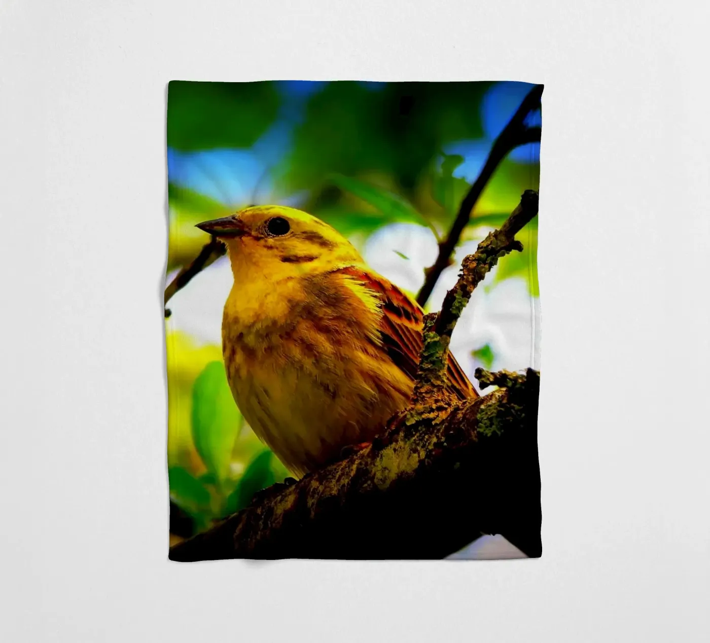 FAA72 fleecedeken van Thierry vobmann photography