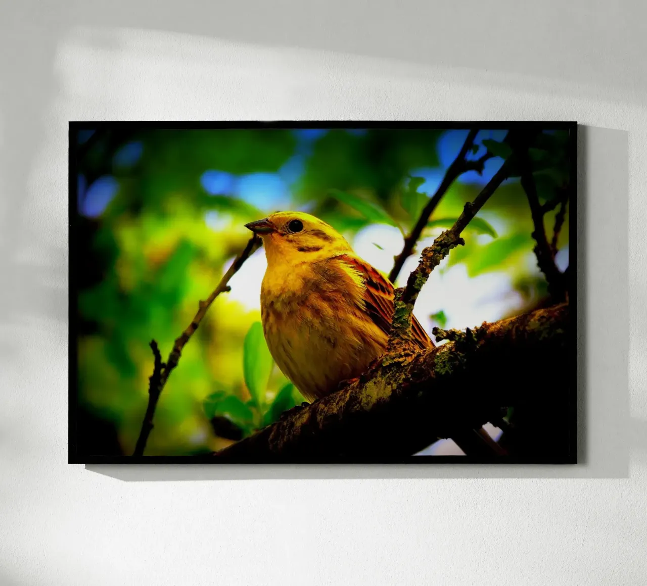 FAA72 poster da Thierry vobmann photography