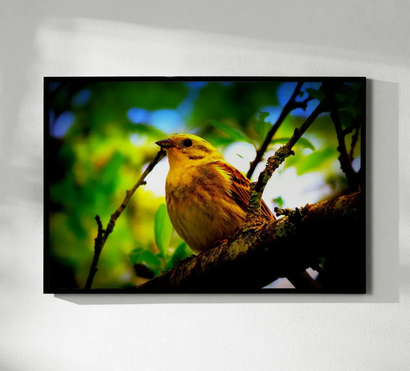 FAA72 Poster von Thierry vobmann photography