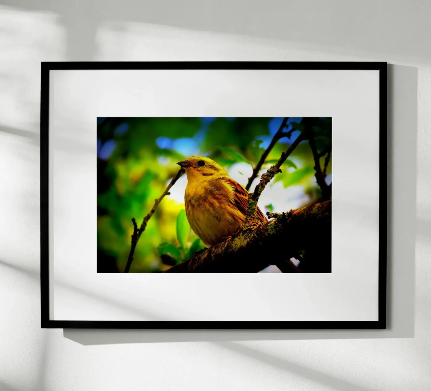 FAA72 Poster von Thierry vobmann photography