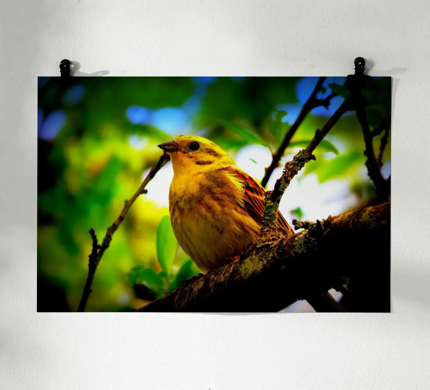 FAA72 Poster von Thierry vobmann photography